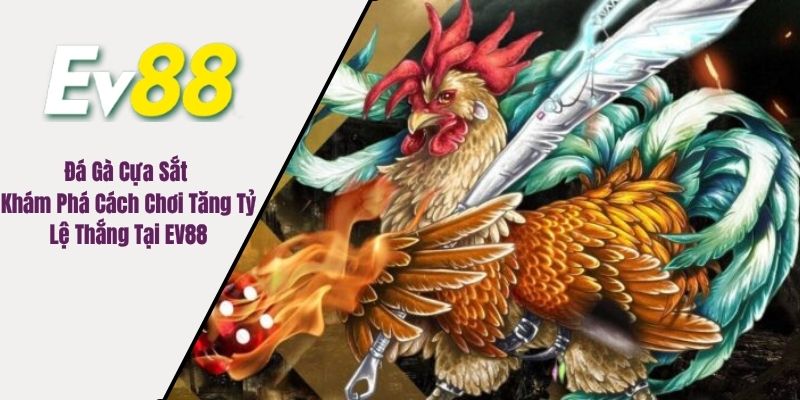 đá gà cựa sắt