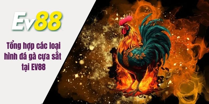 Tổng hợp các loại hình đá gà cựa sắt tại EV88